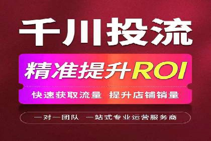 某某SEM服务公司成功案例：从数据出发的营销策略
